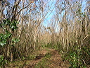 dsc00470